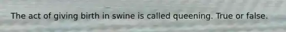 The act of giving birth in swine is called queening. True or false.