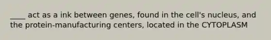 ____ act as a ink between genes, found in the cell's nucleus, and the protein-manufacturing centers, located in the CYTOPLASM