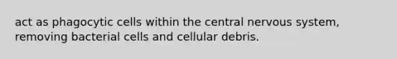 act as phagocytic cells within the central nervous system, removing bacterial cells and cellular debris.