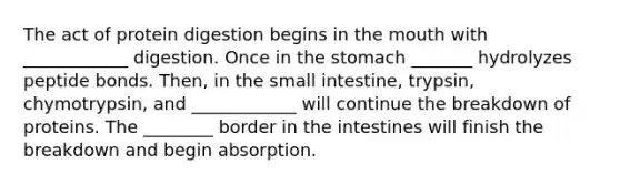 The act of protein digestion begins in the mouth with ____________ digestion. Once in the stomach _______ hydrolyzes peptide bonds. Then, in the small intestine, trypsin, chymotrypsin, and ____________ will continue the breakdown of proteins. The ________ border in the intestines will finish the breakdown and begin absorption.