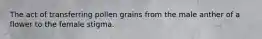 The act of transferring pollen grains from the male anther of a flower to the female stigma.