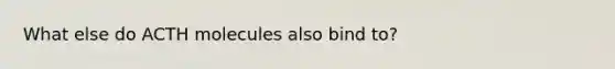 What else do ACTH molecules also bind to?