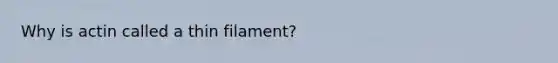 Why is actin called a thin filament?