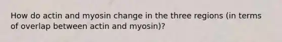 How do actin and myosin change in the three regions (in terms of overlap between actin and myosin)?