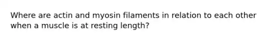 Where are actin and myosin filaments in relation to each other when a muscle is at resting length?