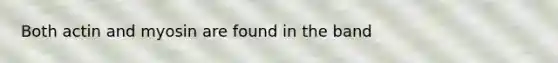 Both actin and myosin are found in the band