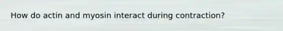How do actin and myosin interact during contraction?