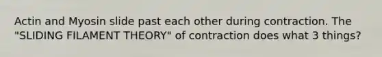 Actin and Myosin slide past each other during contraction. The "SLIDING FILAMENT THEORY" of contraction does what 3 things?