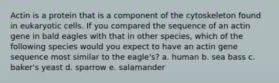 Actin is a protein that is a component of the cytoskeleton found in eukaryotic cells. If you compared the sequence of an actin gene in bald eagles with that in other species, which of the following species would you expect to have an actin gene sequence most similar to the eagle's? a. human b. sea bass c. baker's yeast d. sparrow e. salamander