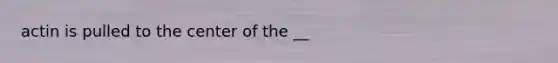 actin is pulled to the center of the __