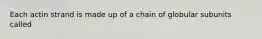 Each actin strand is made up of a chain of globular subunits called