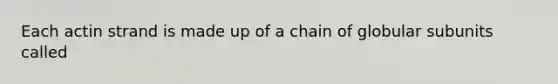 Each actin strand is made up of a chain of globular subunits called