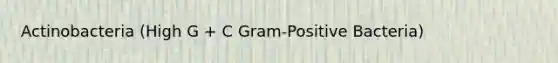 Actinobacteria (High G + C Gram-Positive Bacteria)