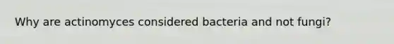 Why are actinomyces considered bacteria and not fungi?