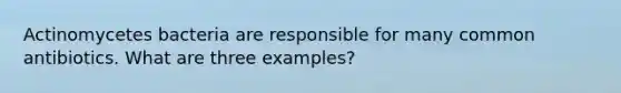 Actinomycetes bacteria are responsible for many common antibiotics. What are three examples?