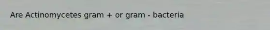 Are Actinomycetes gram + or gram - bacteria