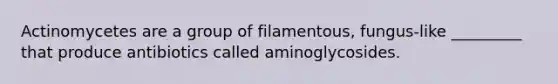 Actinomycetes are a group of filamentous, fungus-like _________ that produce antibiotics called aminoglycosides.