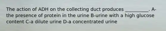 The action of ADH on the collecting duct produces __________. A-the presence of protein in the urine B-urine with a high glucose content C-a dilute urine D-a concentrated urine