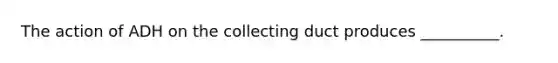 The action of ADH on the collecting duct produces __________.