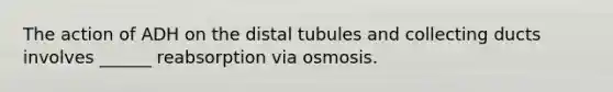 The action of ADH on the distal tubules and collecting ducts involves ______ reabsorption via osmosis.