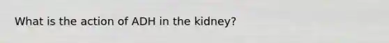 What is the action of ADH in the kidney?