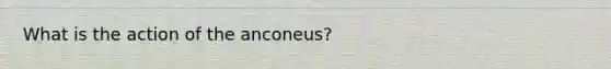 What is the action of the anconeus?