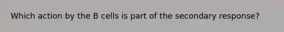 Which action by the B cells is part of the secondary response?