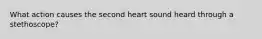 What action causes the second heart sound heard through a stethoscope?