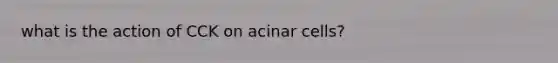 what is the action of CCK on acinar cells?