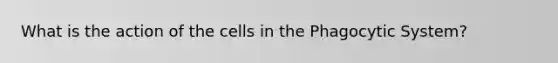 What is the action of the cells in the Phagocytic System?
