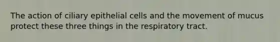 The action of ciliary epithelial cells and the movement of mucus protect these three things in the respiratory tract.