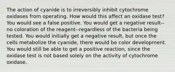 The action of cyanide is to irreversibly inhibit cytochrome oxidases from operating. How would this affect an oxidase test? You would see a false positive. You would get a negative result--no coloration of the reagent--regardless of the bacteria being tested. You would initially get a negative result, but once the cells metabolize the cyanide, there would be color development. You would still be able to get a positive reaction, since the oxidase test is not based solely on the activity of cytochrome oxidase.