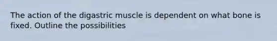 The action of the digastric muscle is dependent on what bone is fixed. Outline the possibilities