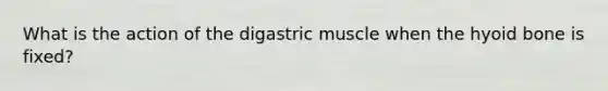 What is the action of the digastric muscle when the hyoid bone is fixed?