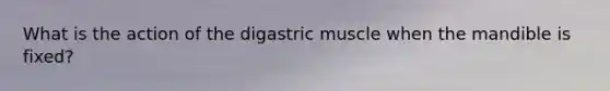 What is the action of the digastric muscle when the mandible is fixed?