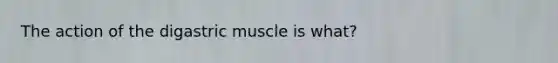 The action of the digastric muscle is what?