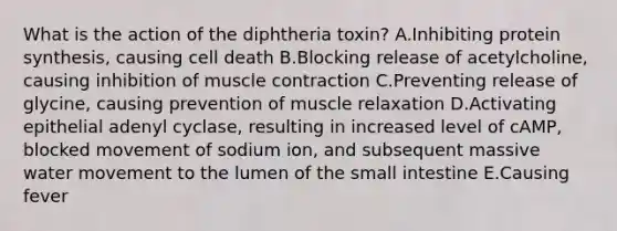 What is the action of the diphtheria toxin? A.Inhibiting protein synthesis, causing cell death B.Blocking release of acetylcholine, causing inhibition of muscle contraction C.Preventing release of glycine, causing prevention of muscle relaxation D.Activating epithelial adenyl cyclase, resulting in increased level of cAMP, blocked movement of sodium ion, and subsequent massive water movement to the lumen of the small intestine E.Causing fever