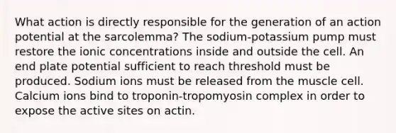 What action is directly responsible for the generation of an action potential at the sarcolemma? The sodium-potassium pump must restore the ionic concentrations inside and outside the cell. An end plate potential sufficient to reach threshold must be produced. Sodium ions must be released from the muscle cell. Calcium ions bind to troponin-tropomyosin complex in order to expose the active sites on actin.