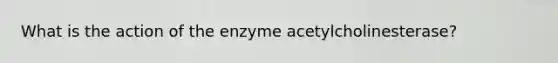 What is the action of the enzyme acetylcholinesterase?