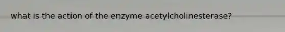 what is the action of the enzyme acetylcholinesterase?