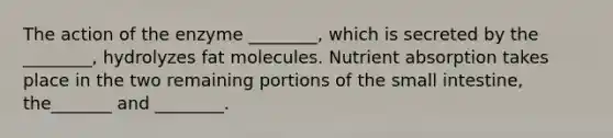 The action of the enzyme ________, which is secreted by the ________, hydrolyzes fat molecules. Nutrient absorption takes place in the two remaining portions of the small intestine, the_______ and ________.