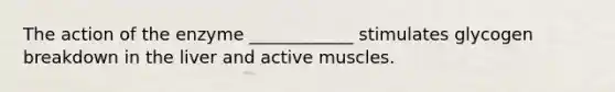 The action of the enzyme ____________ stimulates glycogen breakdown in the liver and active muscles.