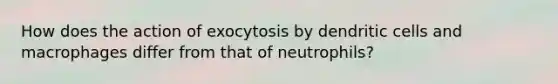 How does the action of exocytosis by dendritic cells and macrophages differ from that of neutrophils?