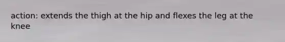 action: extends the thigh at the hip and flexes the leg at the knee