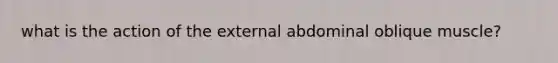 what is the action of the external abdominal oblique muscle?