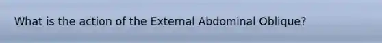 What is the action of the External Abdominal Oblique?