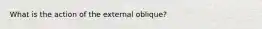 What is the action of the external oblique?