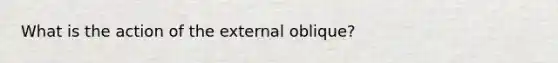 What is the action of the external oblique?