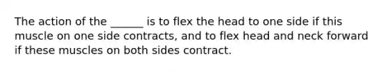 The action of the ______ is to flex the head to one side if this muscle on one side contracts, and to flex head and neck forward if these muscles on both sides contract.