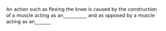 An action such as flexing the knee is caused by the construction of a muscle acting as an__________ and as opposed by a muscle acting as an_______